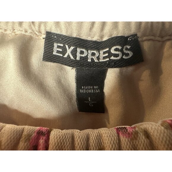 EXPRESS Sheer Tulle Ruffle Top Sz L Coquette Fairy Boho Romantic Rose Bud - Picture 2 of 9